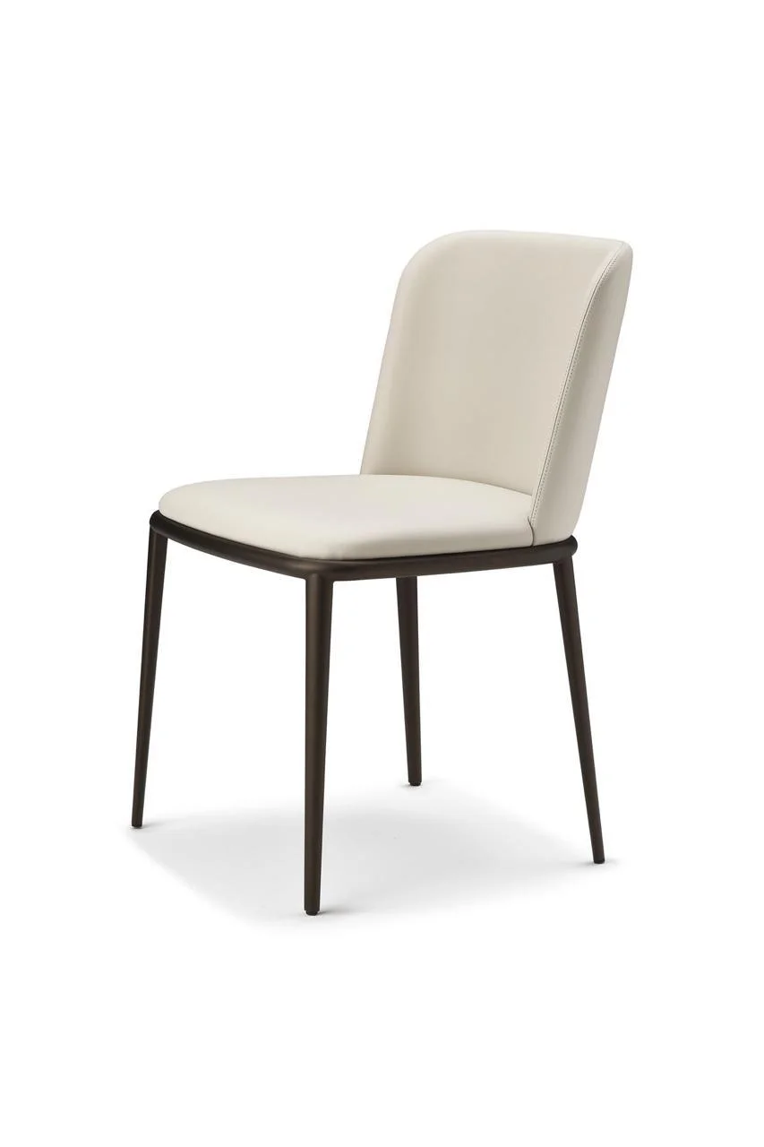 Modern dining chairs